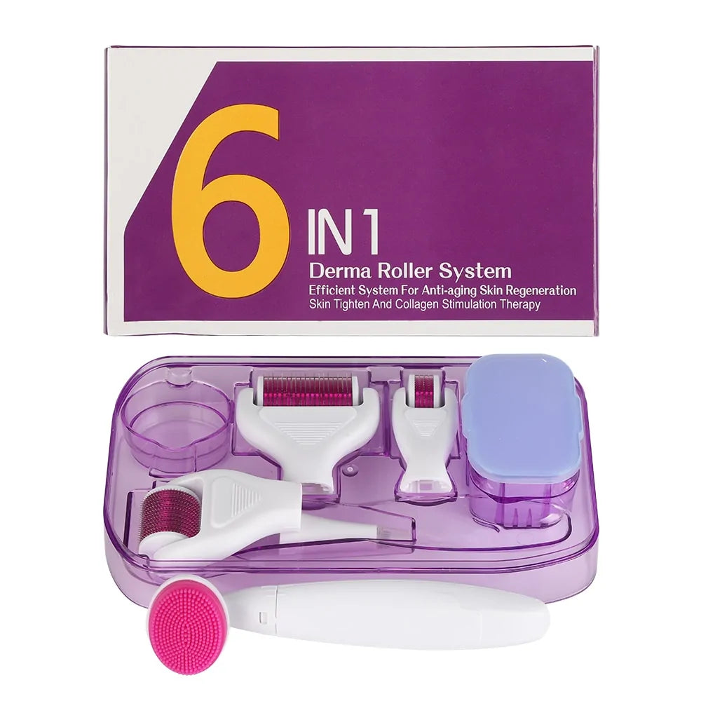 6 in 1 Derma Roller Cosmetic Microneedle Kit